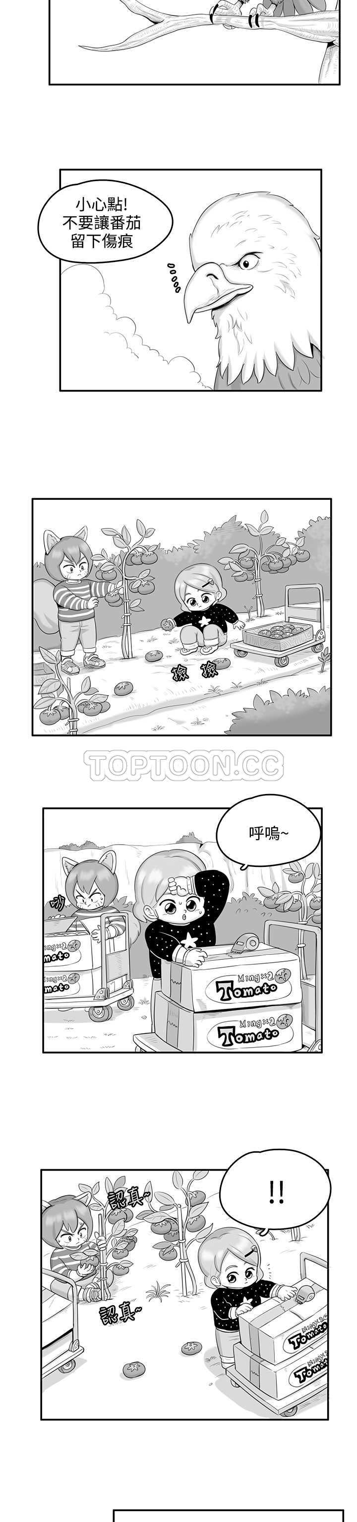 猪仔农场(完结)漫画漫画,第17话1图
