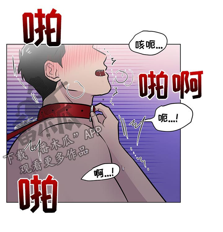 kiss定律漫画漫画,第46话 4610图
