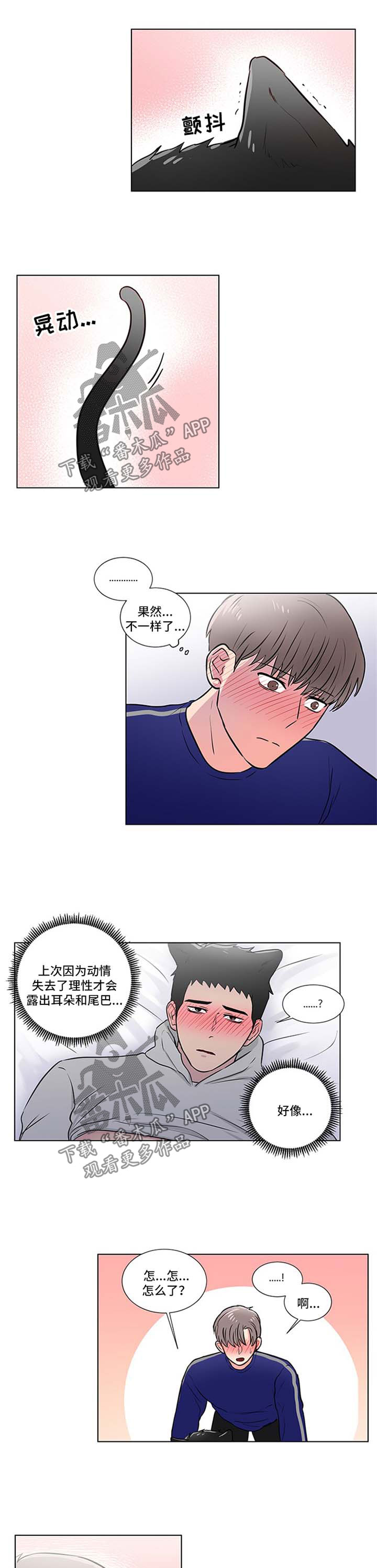 kiss定律漫画漫画,第31话 3110图