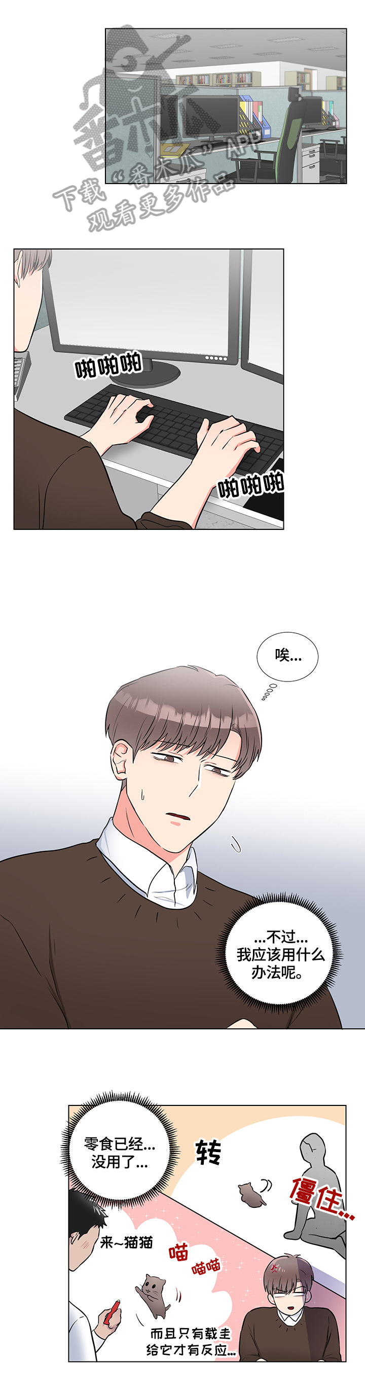 kiss定律漫画144话漫画,第53话 5310图