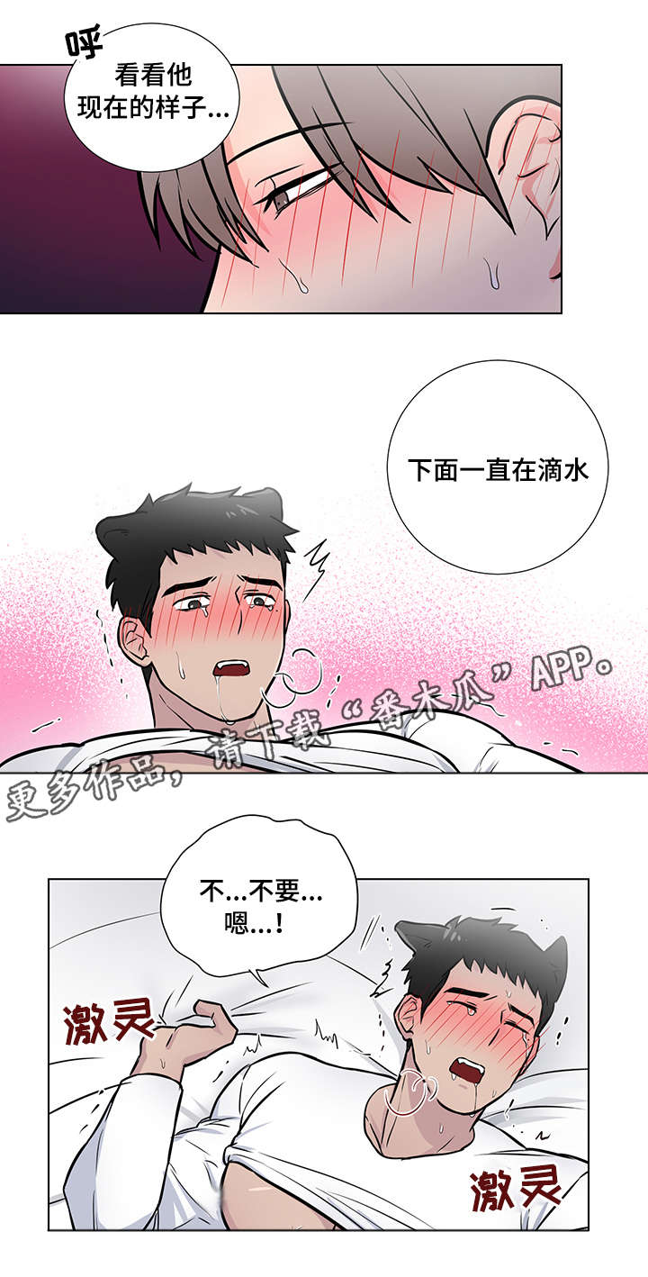 kiss定律漫画漫画,第114话 1143图