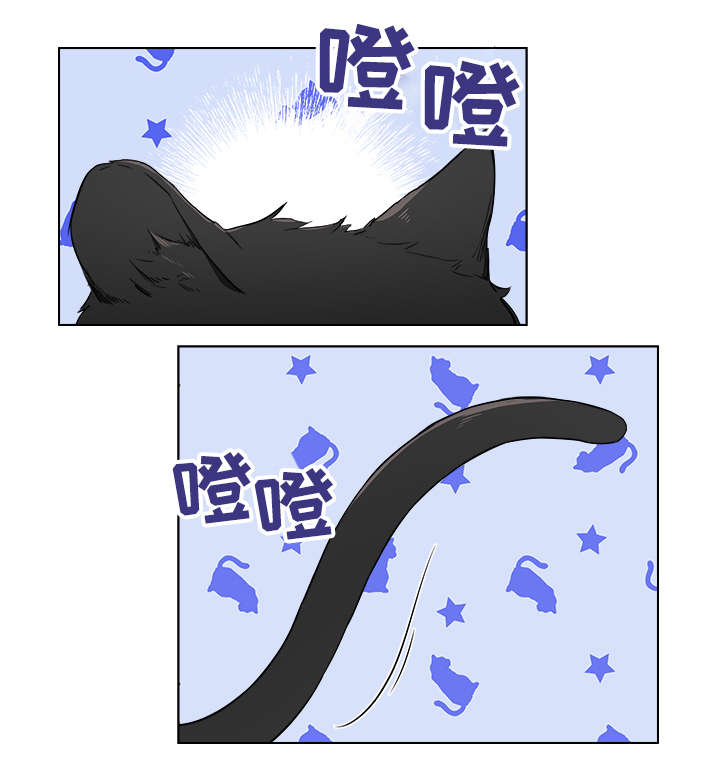 kiss定律漫画第二季出了吗漫画,第70话 702图