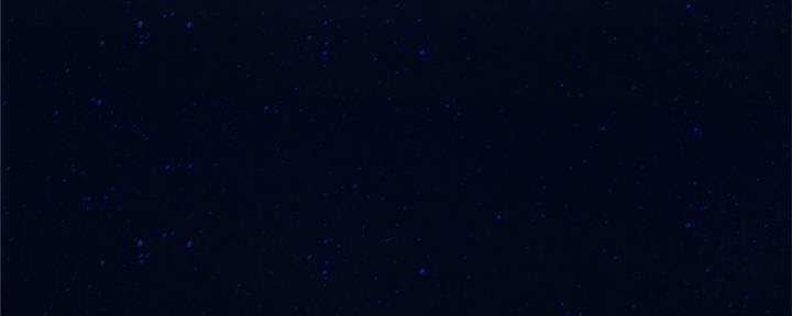 冰点漫画在哪儿看漫画,第164话 1644图