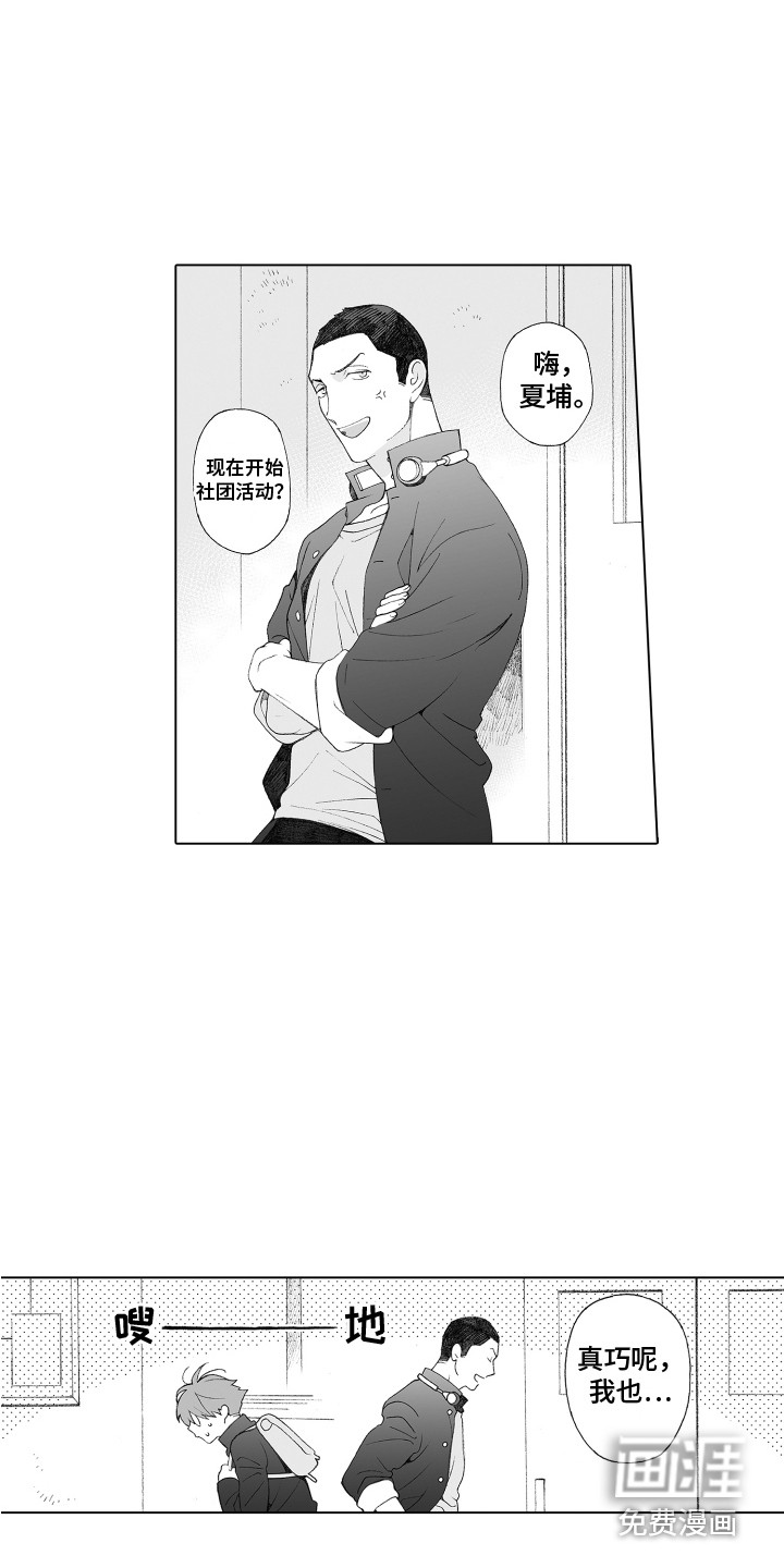美丽新世界漫画完结漫画,第29章：一直躲着5图