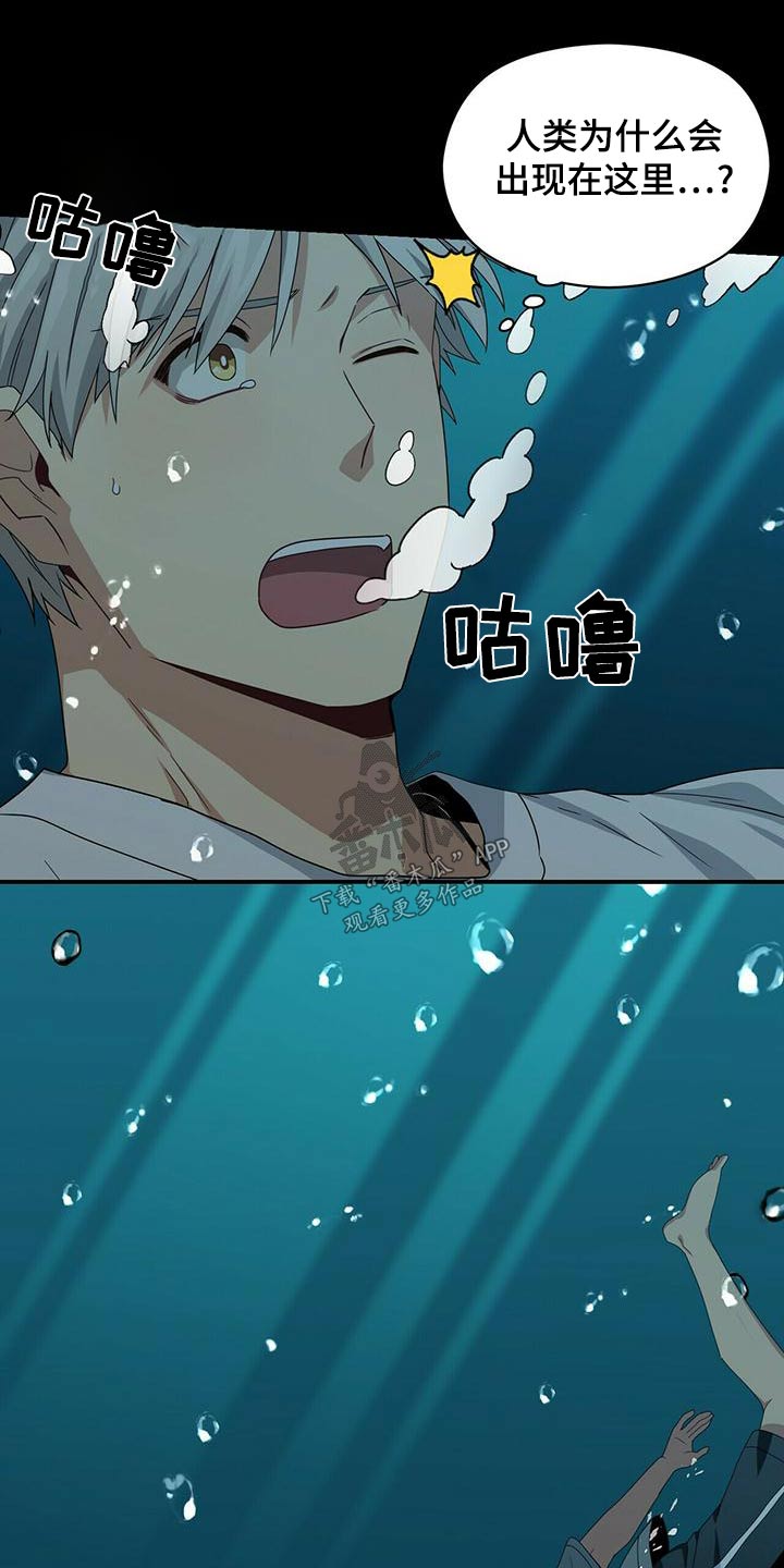阿毛你在哪漫画漫画,第17章：永久协议7图