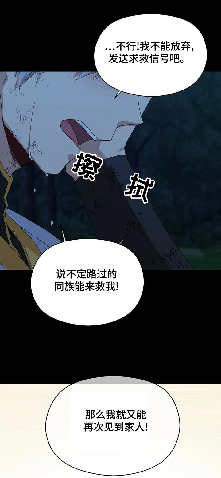 阴谋与争斗漫画漫画,第119章：不见了2图