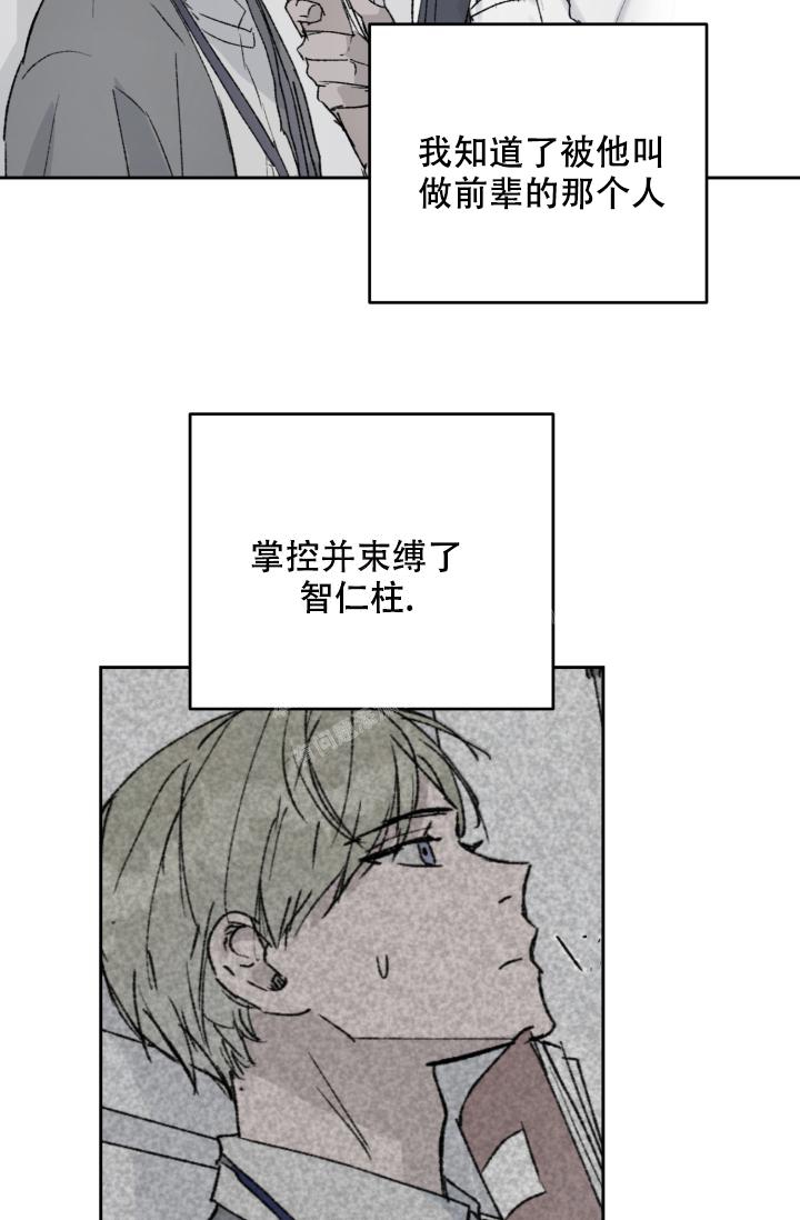 密码追踪漫画漫画,第19章喜欢1图