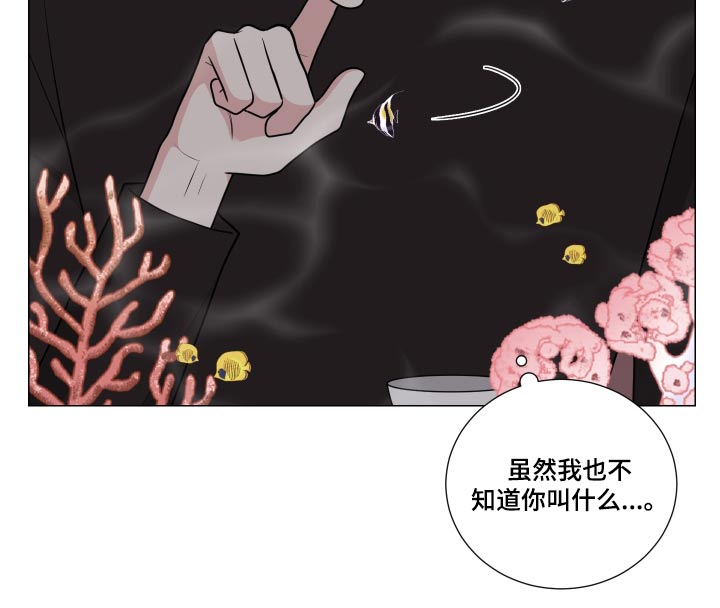 恋趣相融漫画漫画,第42章：美人计3图