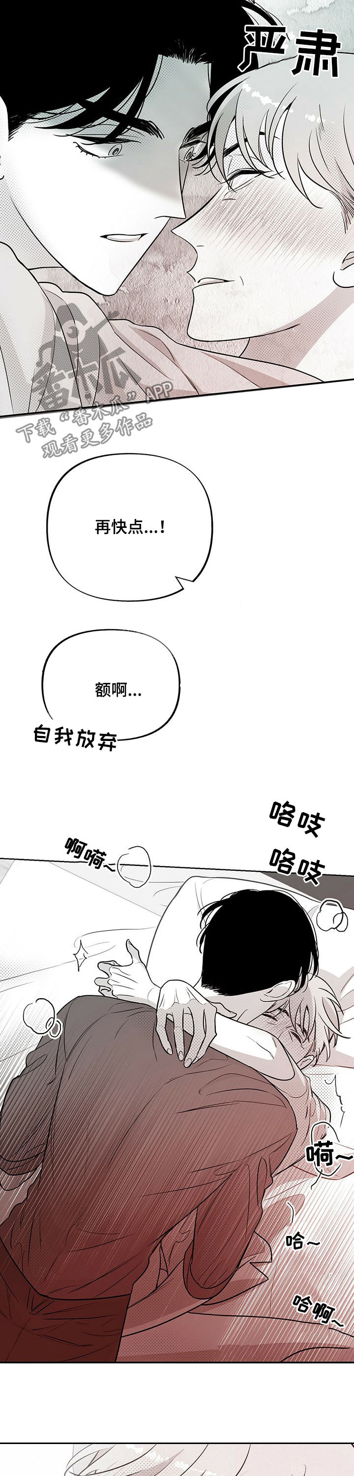 极道猫狗漫画剧情漫画,第16章：手术顺利1图