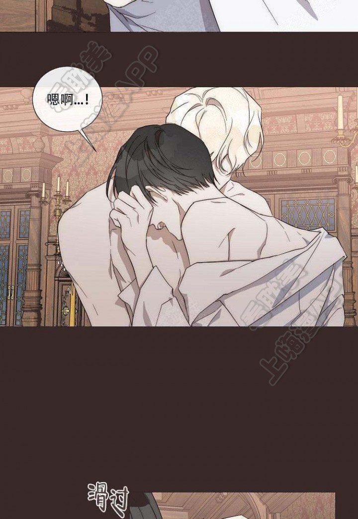 好友环绕漫画漫画,第37章：收留7图