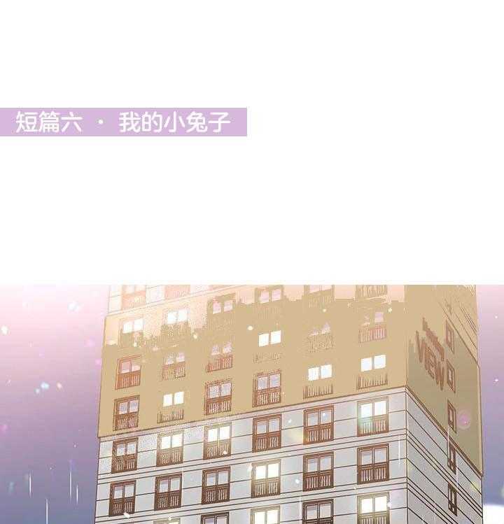 奇妙玩具来袭漫画在线17话漫画,19话 我的小兔子1图