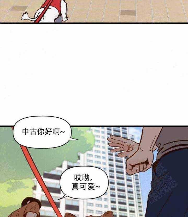 一起享用漫画免费漫画,第1话 狗狗2图