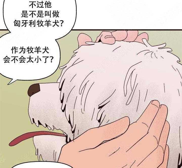 一起享用吧漫画漫画,第17话 陌生狗的味道3图