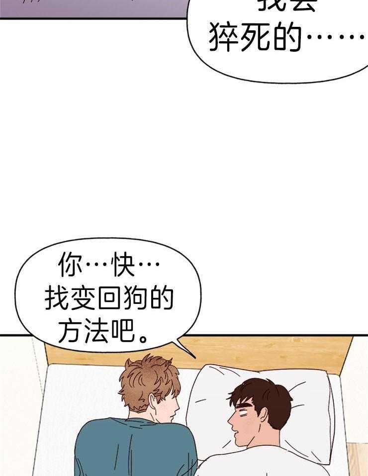 一起享用吧漫画漫画,第30话 可爱的坏蛋3图