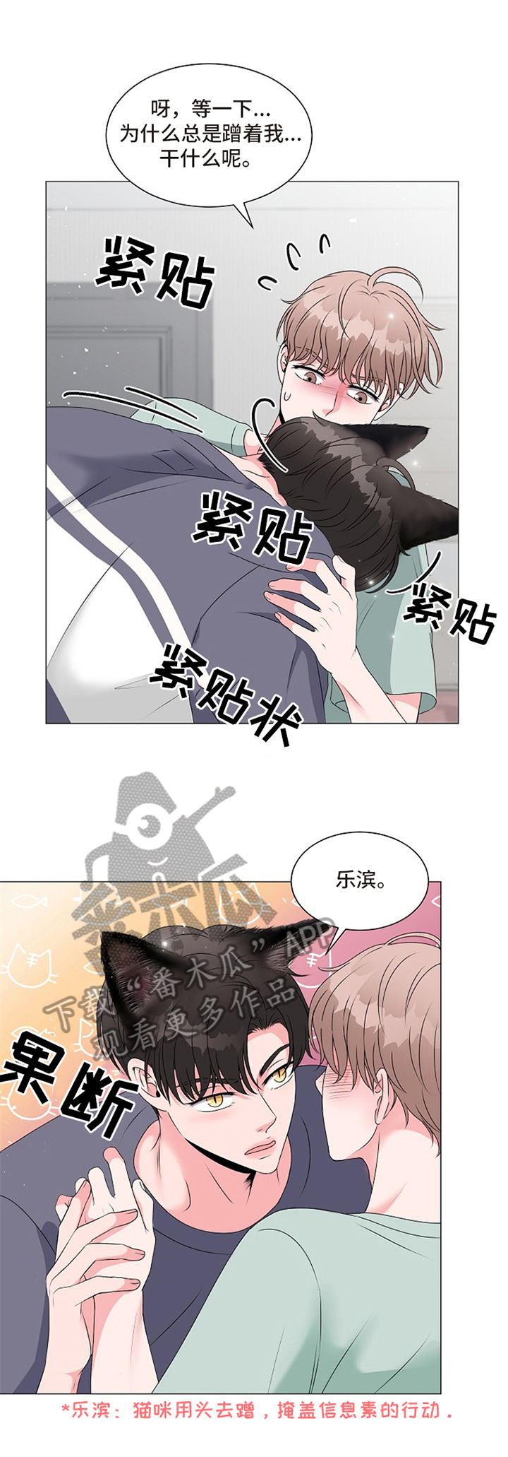 假冒夫妻的动漫漫画,第38章：乐观7图