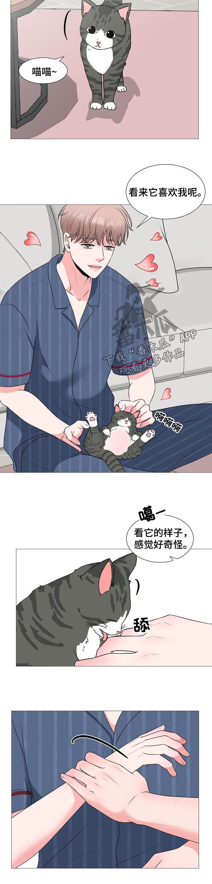 青涩男孩初体验漫画漫画,第42章：婚礼3图