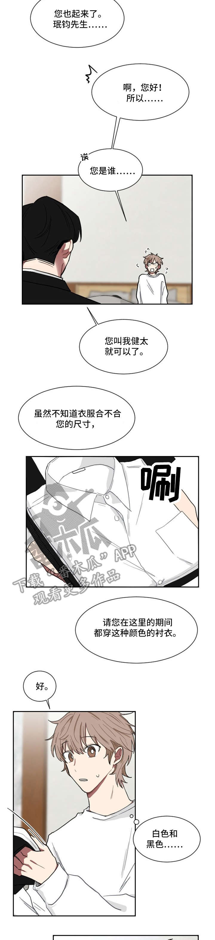 极道猫狗漫画剧情漫画,第16章：手术顺利3图