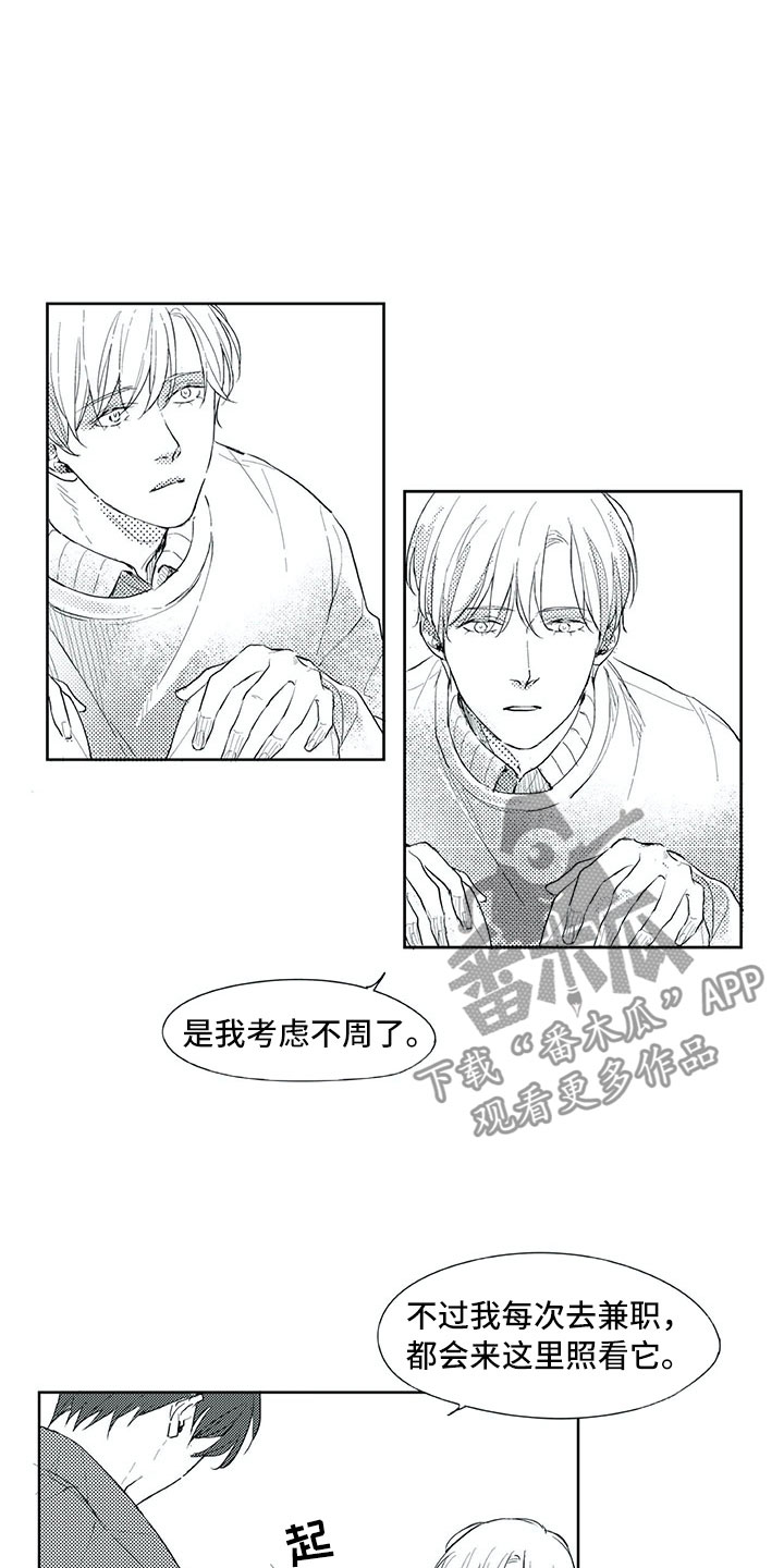钢琴协奏曲黄河音乐鉴赏漫画,第29章：婚礼策划5图