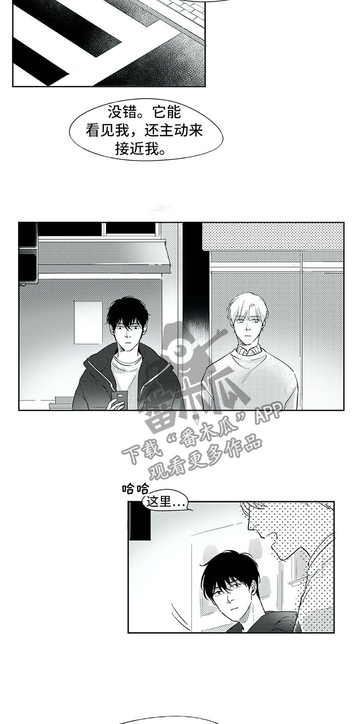 第一钢琴协奏曲第二乐章漫画,第23章：吸引5图