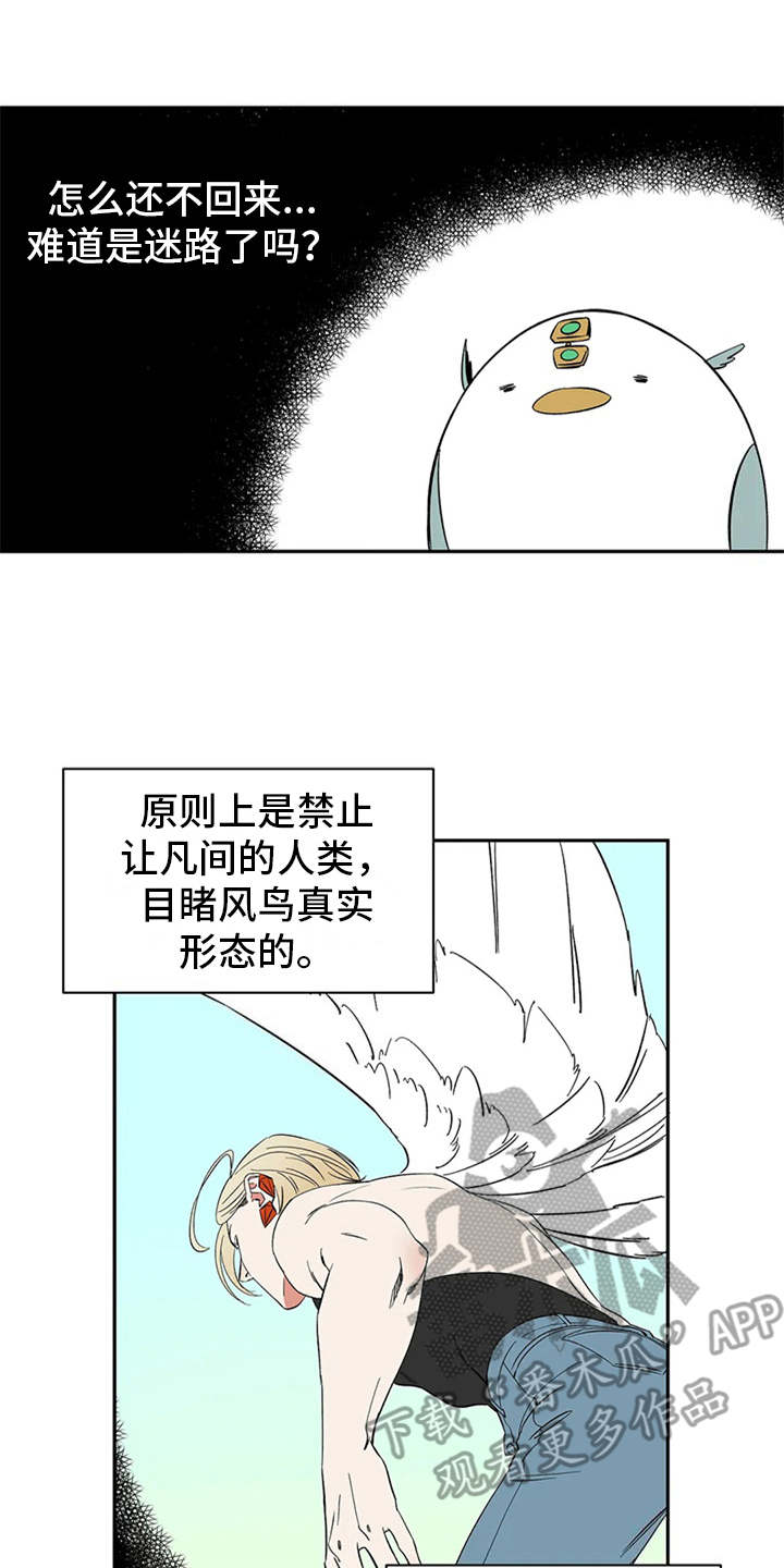 灵魂置换漫画漫画,第37章：交换情报8图