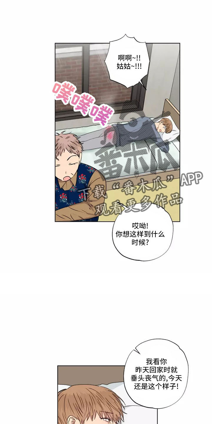 恋爱漫画贵族漫画,第27章：8图