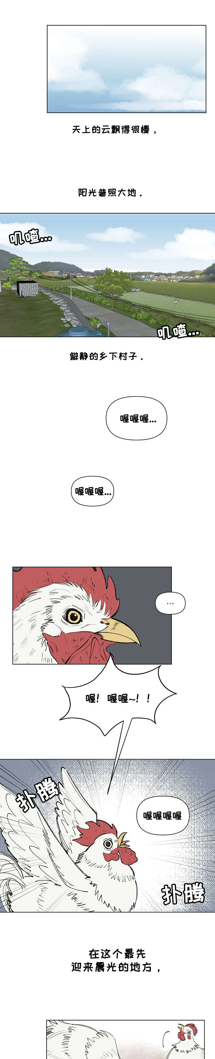 请教我的单反照相机显示屏出现\漫画,1章：喜讯5图