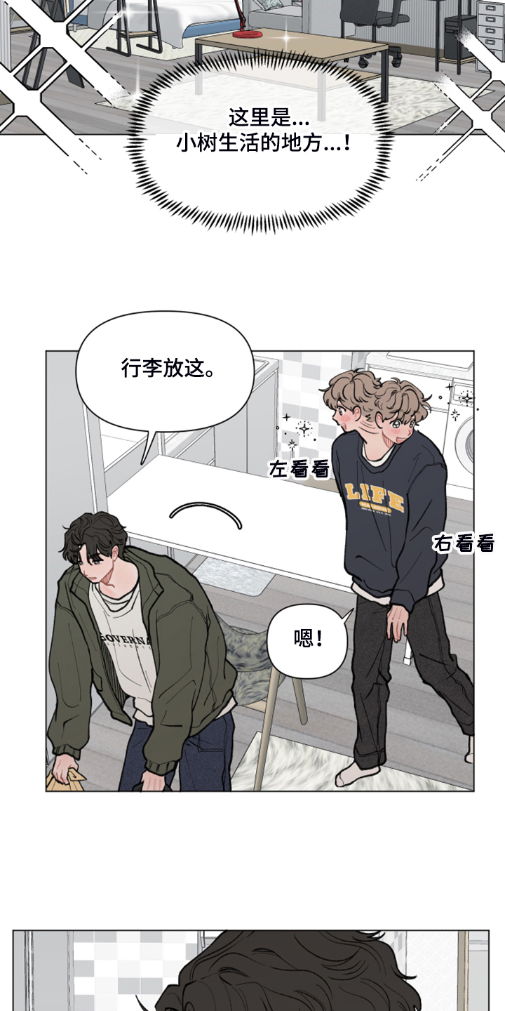 64章：【二季】小树的家2
