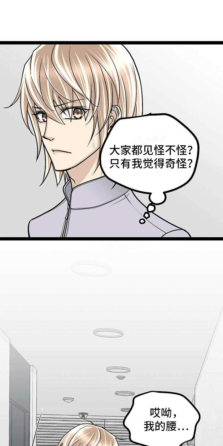 虚伪和谎言的漫画漫画,第43章：假怀孕（第一季完结）1图