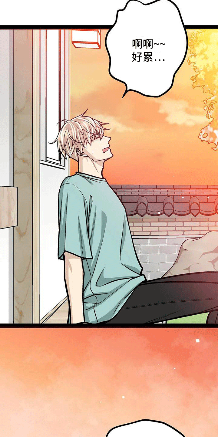 谎言先生免费观看漫画漫画,第30章：匹配度8图