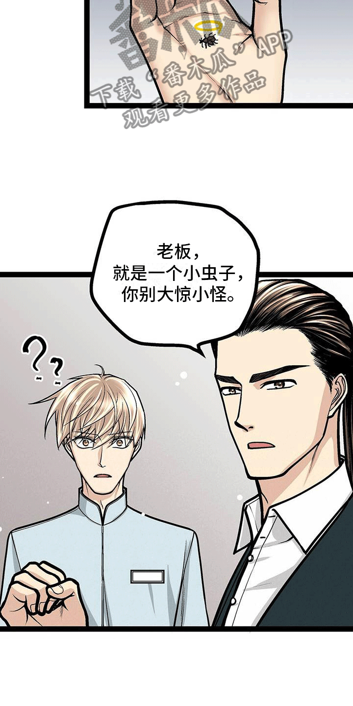 完美谎言漫画在哪里看漫画,第31章：最重要的事情8图