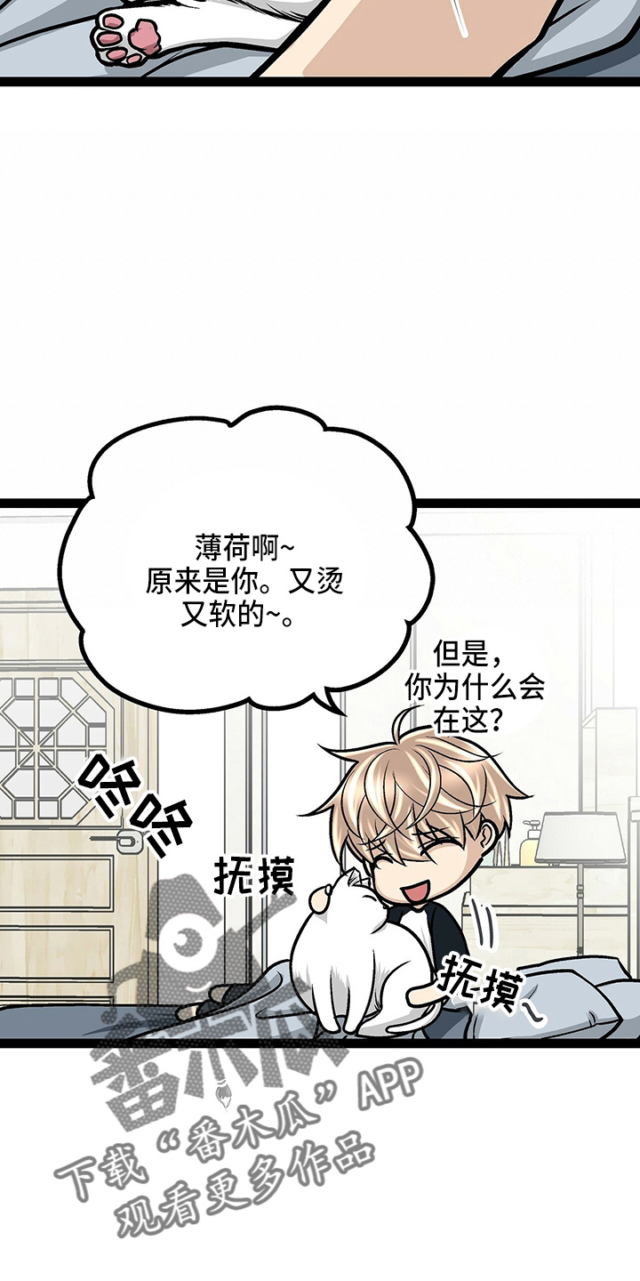 谎言的孩子漫画漫画,第26章：爱人8图