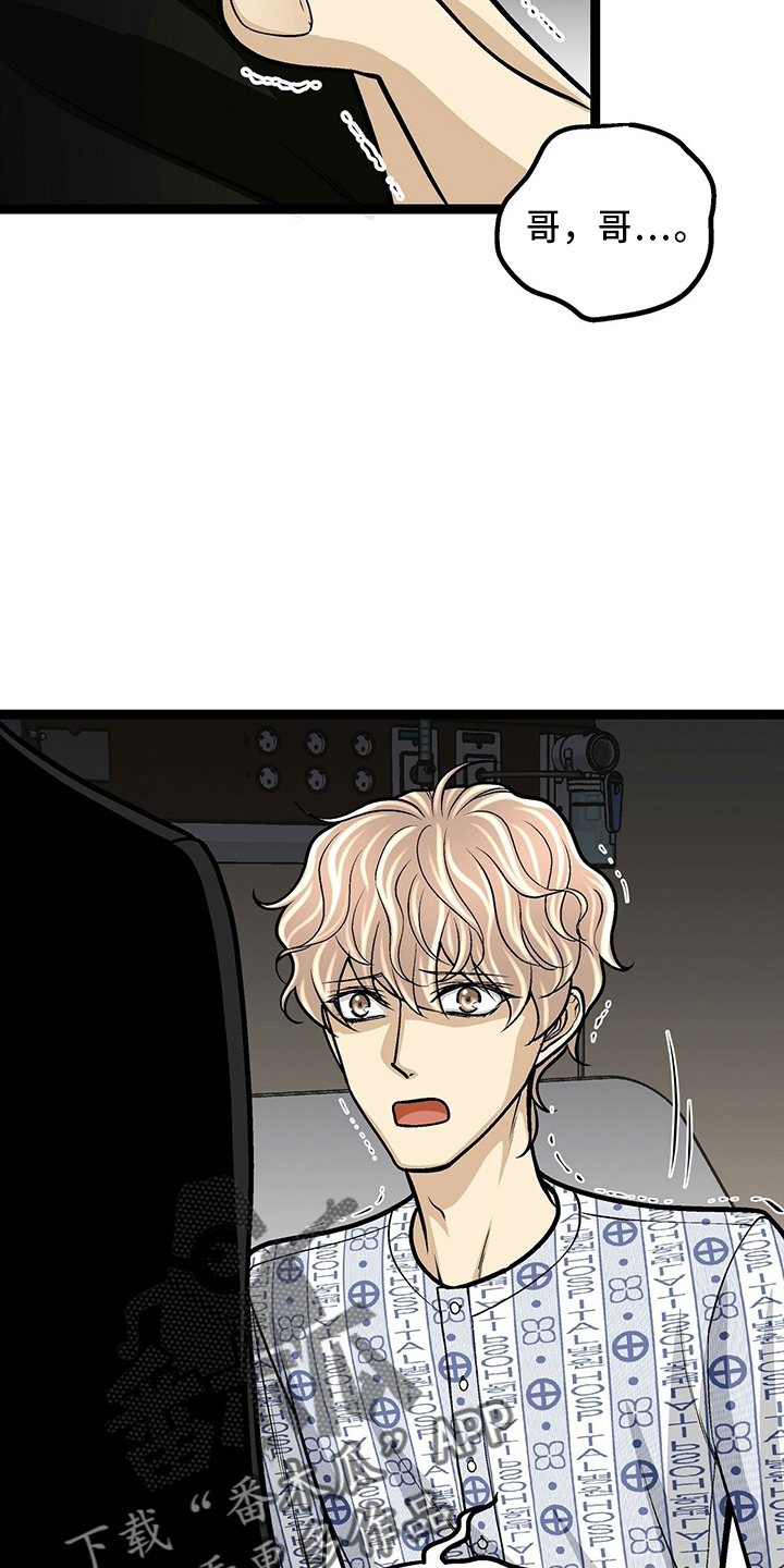 完美谎言漫画在哪里看漫画,第5章：恋情依旧7图