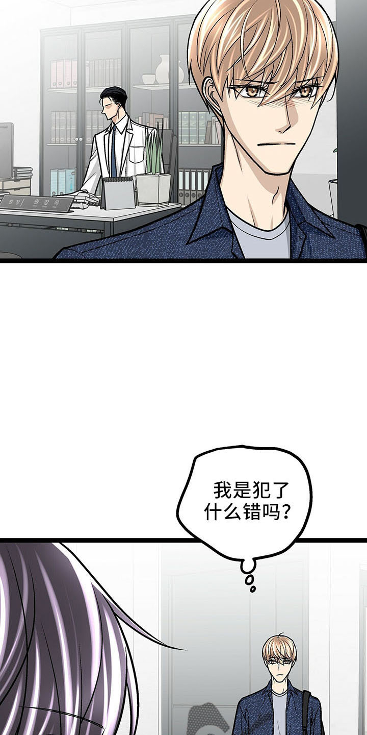 完美谎言漫画在哪里看漫画,第1章：胜负料理7图