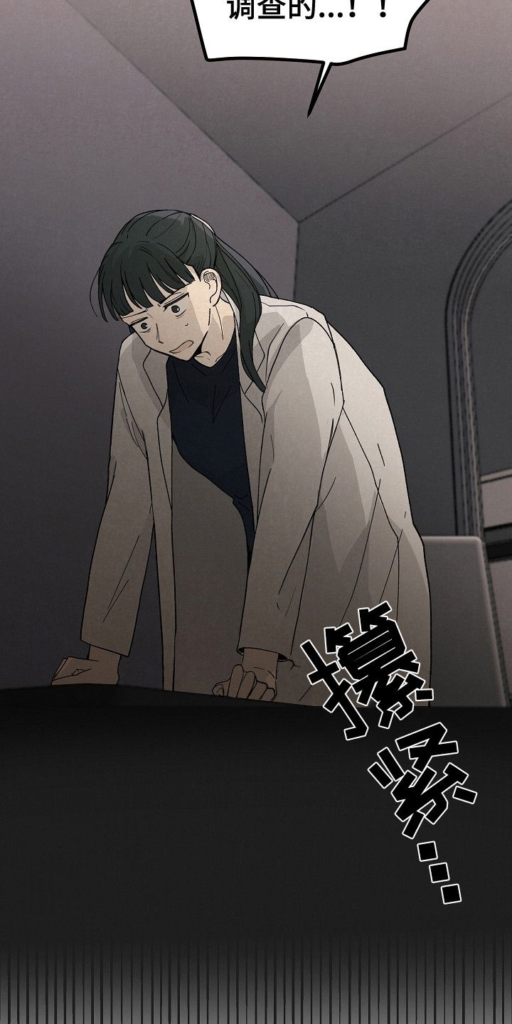 危险赔偿漫画漫画,第20章：最棒的收藏品【完结】3图