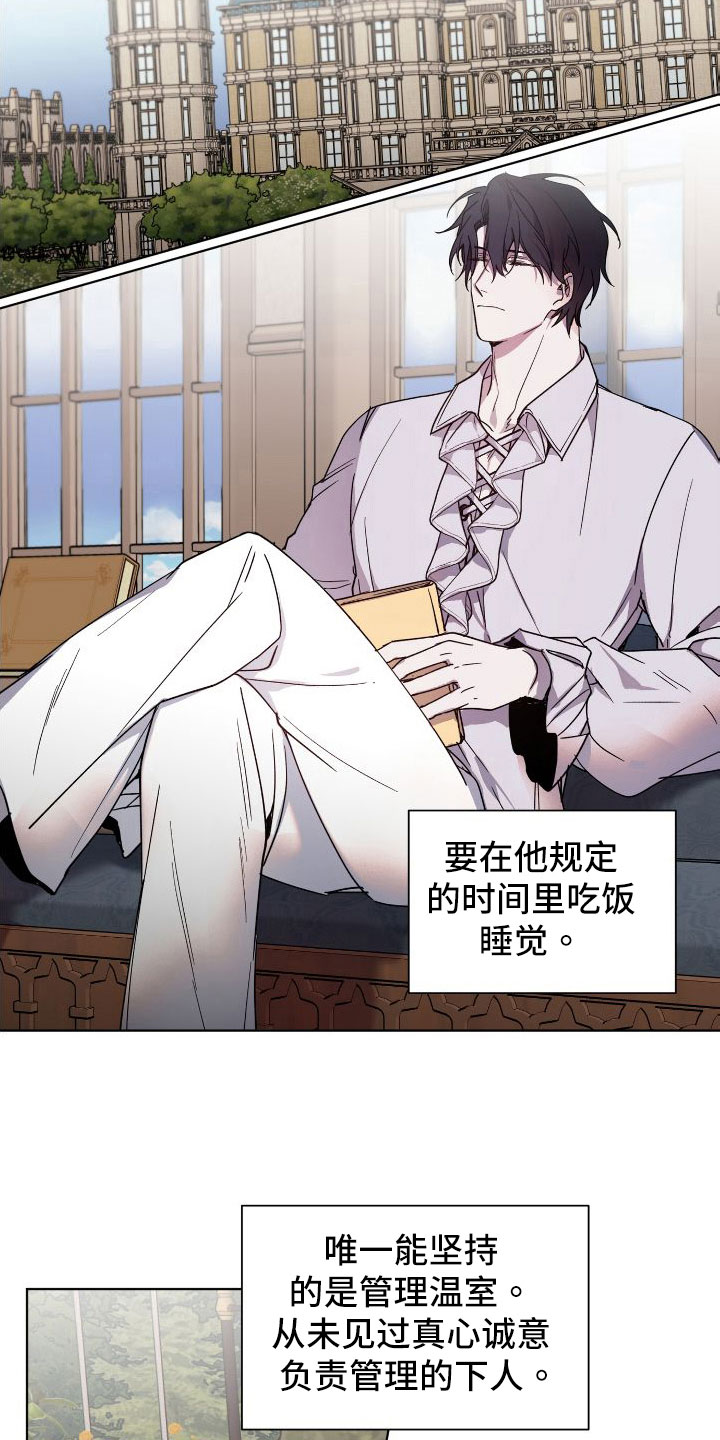 圣诞节的礼物动画片漫画,第11章：1图