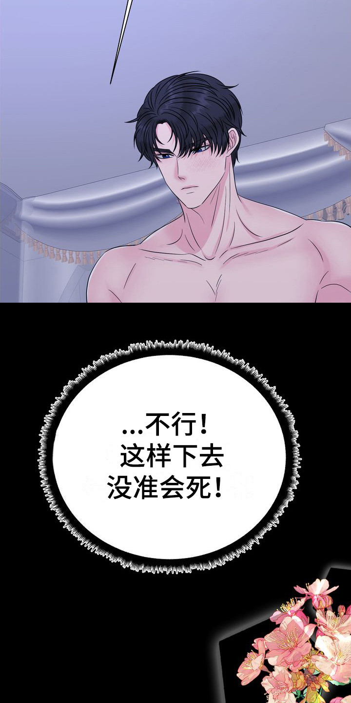 小野猫驯服手册漫画漫画,第1章：到此为止吧3图