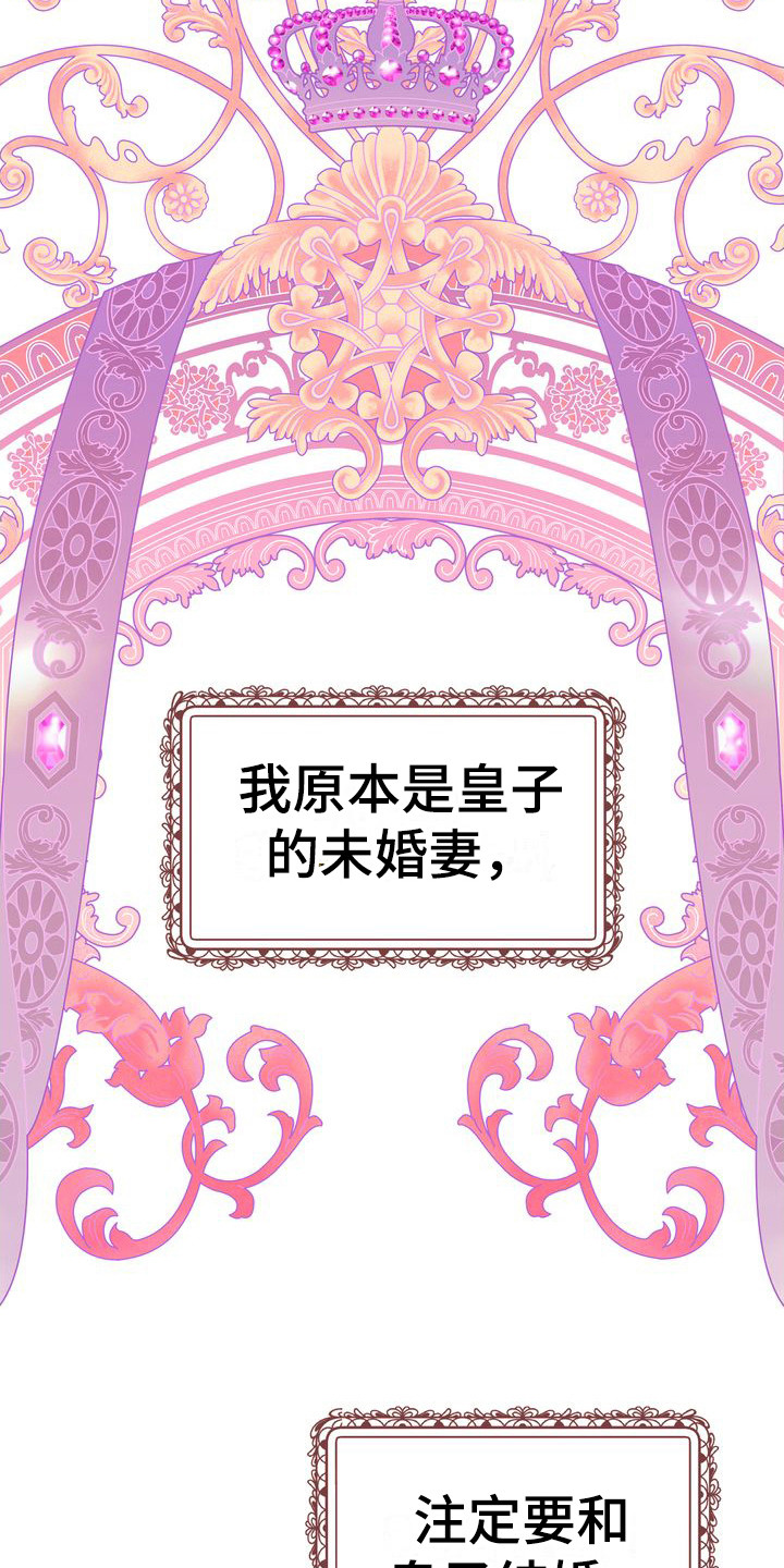 小野猫驯服手册漫画漫画,第2章：不幸的开端4图