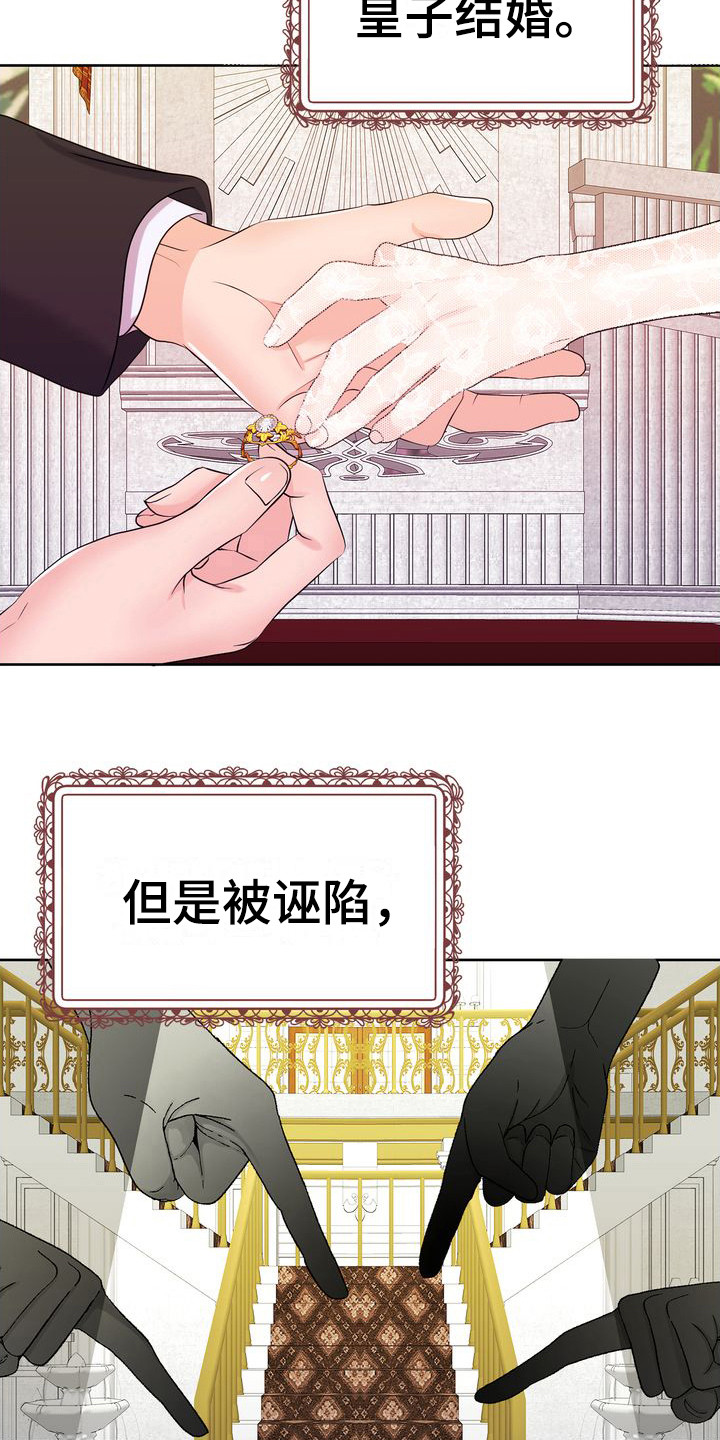 小野猫驯服手册漫画漫画,第2章：不幸的开端5图