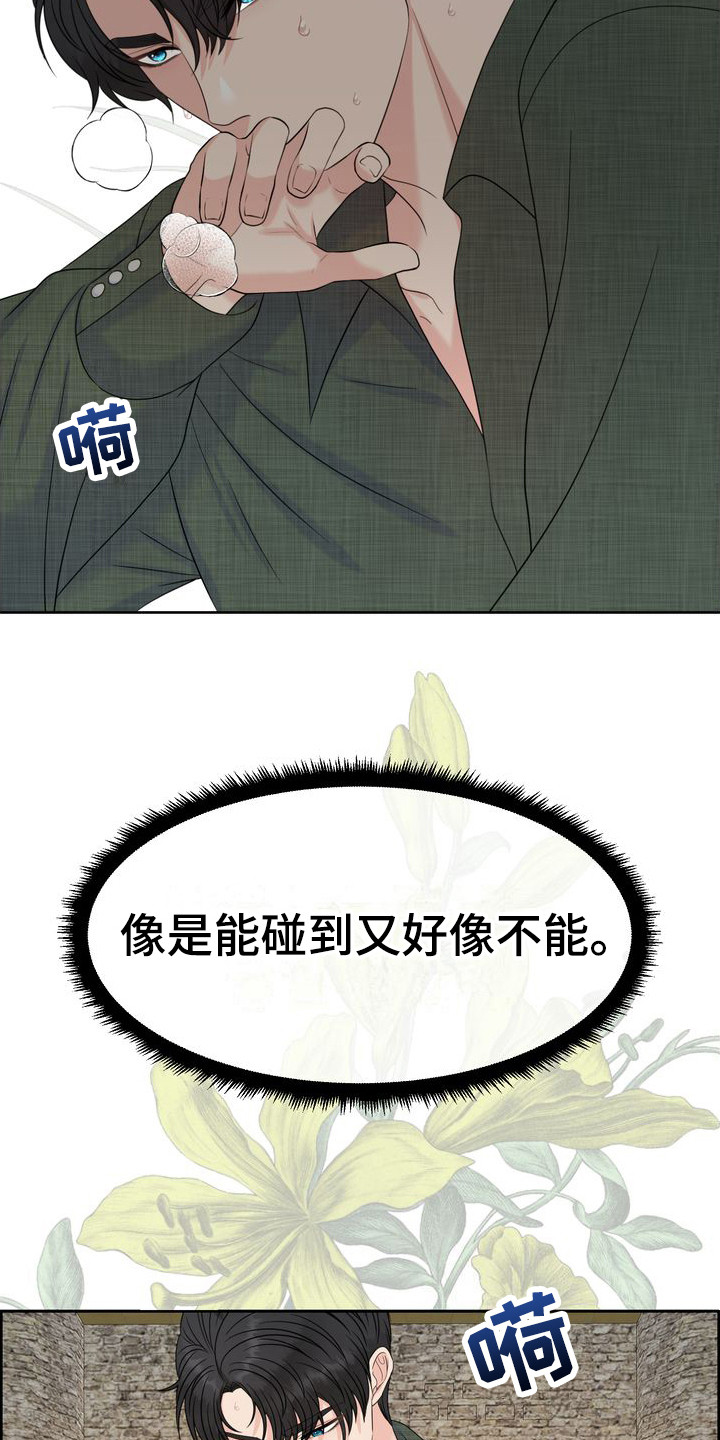 小野猫驯服手册漫画漫画,第21章：注视着3图