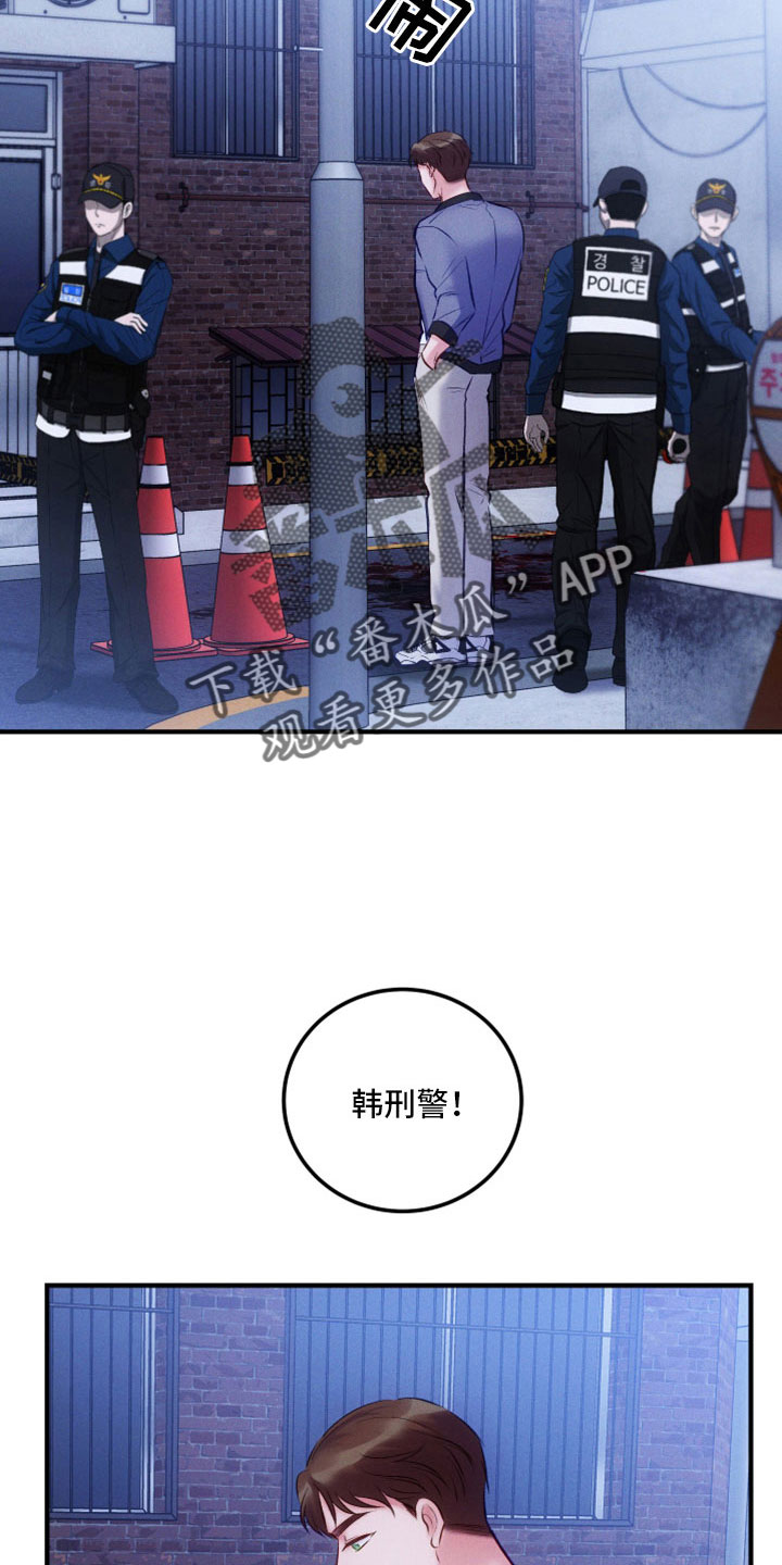 贝塔的报恩漫画漫画,第6章：关键新闻4图