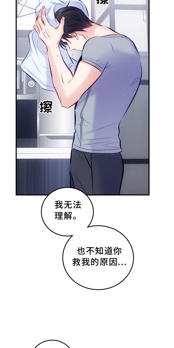 kiss定律漫画第二季出了吗漫画,第117话 1176图