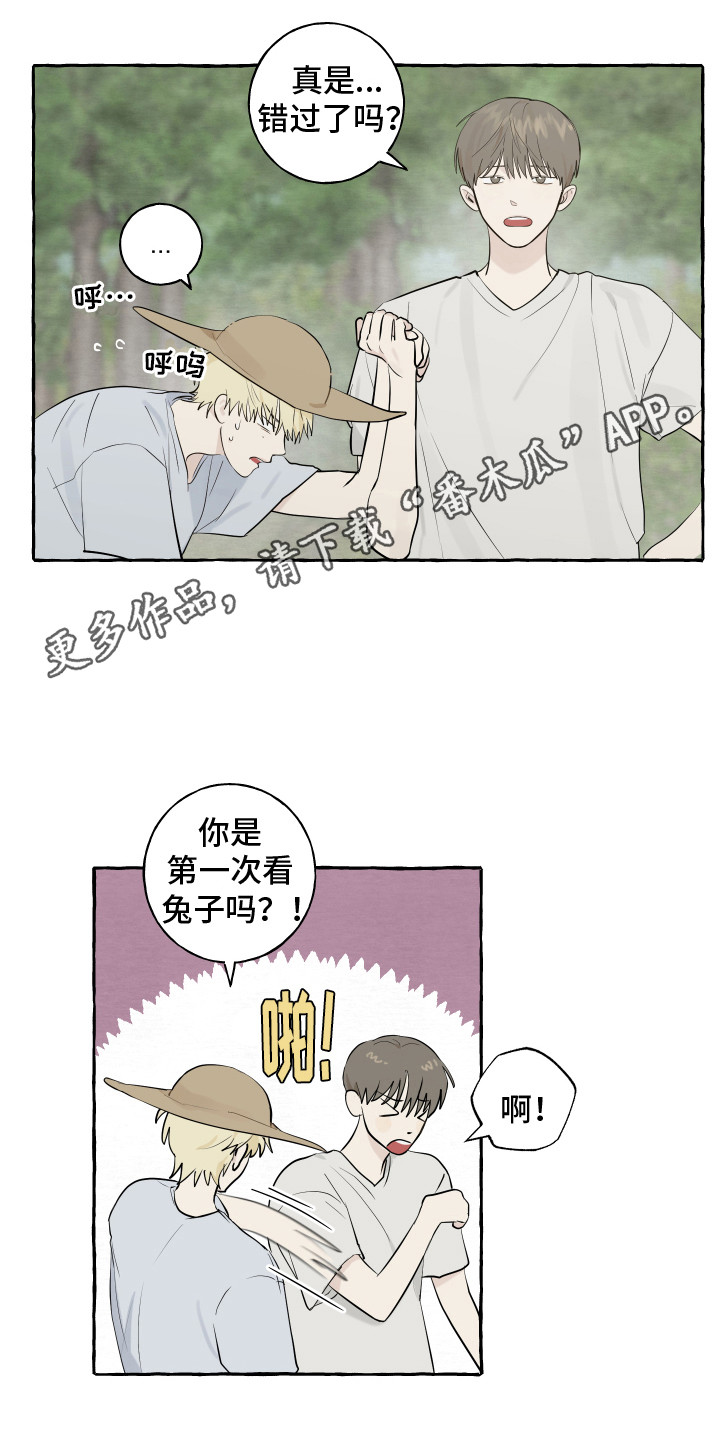 真假婚姻漫画漫画,第2章：介绍4图