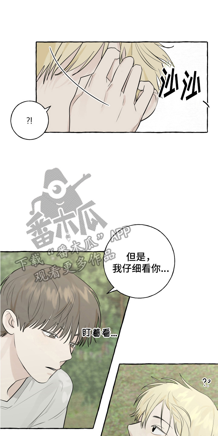 真假婚约漫画漫画,第12章：诱惑4图