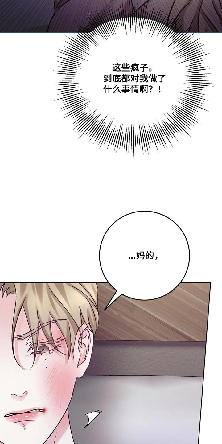 贝塔的报恩漫画漫画,第6章：高中生2图