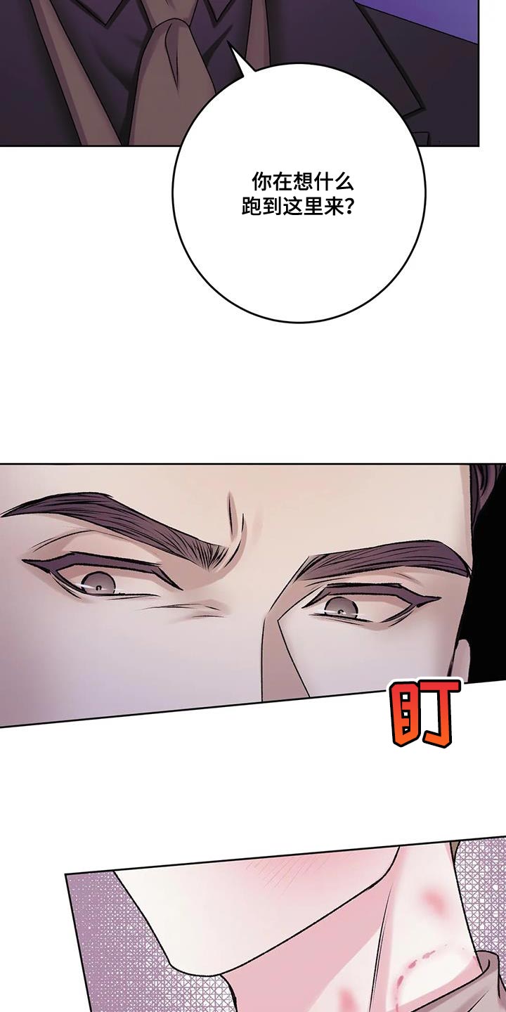 绯色漫画会员谁有漫画,第5章：新经纪人4图