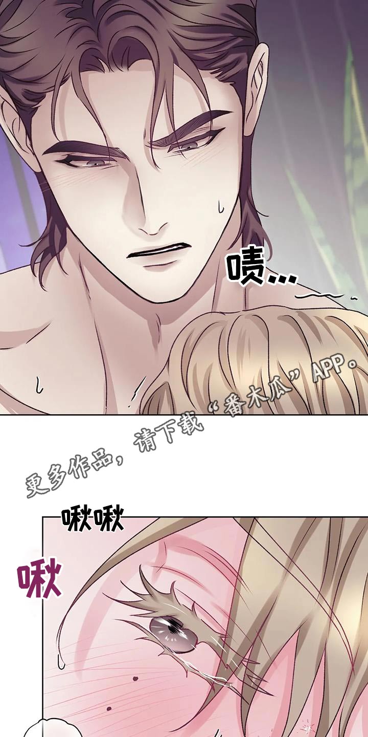 虎与蛮兔漫画漫画,第34章：发动攻击10图