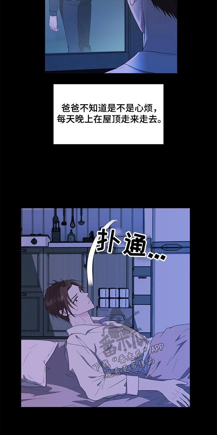 蜜月之旅漫画漫画,第79话5图