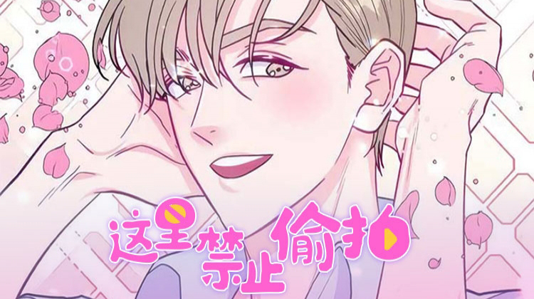 危险印记漫画免费阅读完整版高清