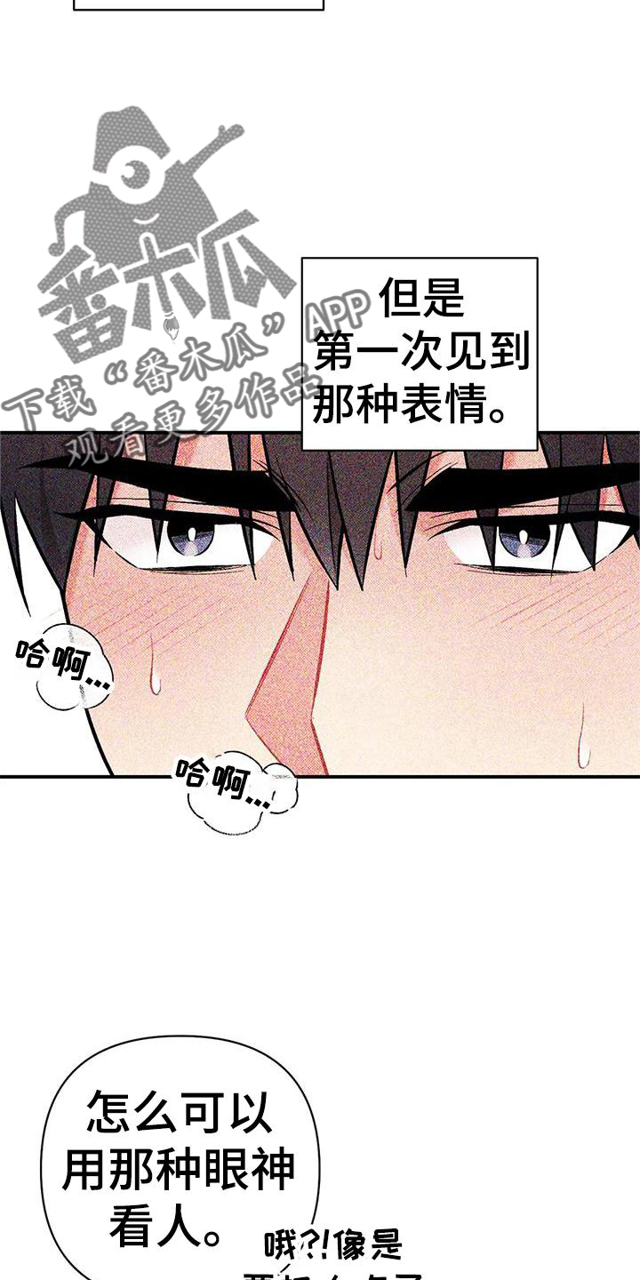 异种家庭漫画漫画,第43章：警告1图